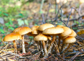 Similar image 1048091