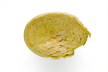 Similar image 1048116