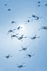 Similar image 1048119