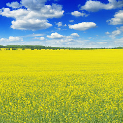 Similar image 1048133