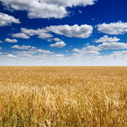 Similar image 1048143