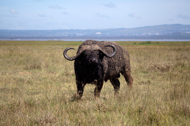 Similar image 1048171