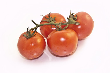 Similar image 1048172