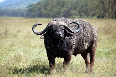 Similar image 1048173