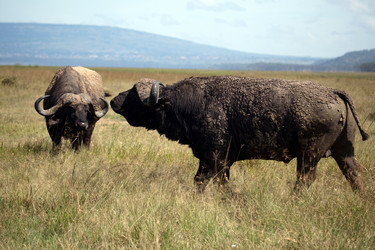 Similar image 1048176