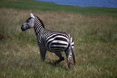 Similar image 1048179