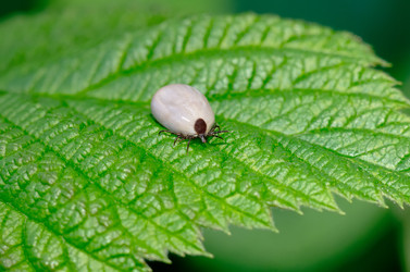 Similar image 1048183