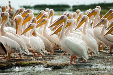 Similar image 1048186