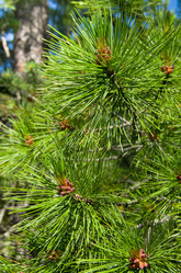 Similar image 1048190