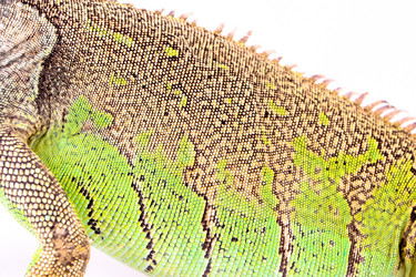 Similar image 1048192