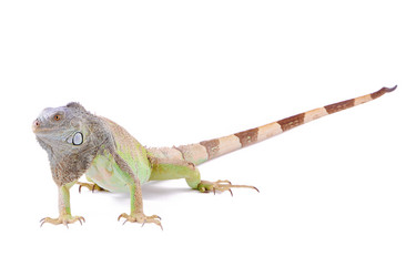 Similar image 1048193