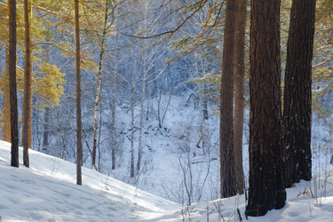 Similar image 1048212