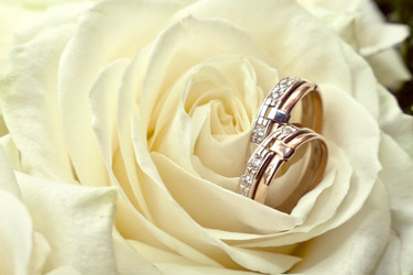 Similar image 1048300