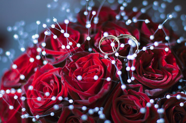 Similar image 1048313