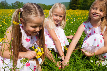 Similar image 1048350