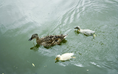 Similar image 1048587