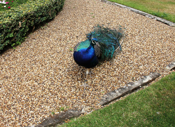 Similar image 1048611