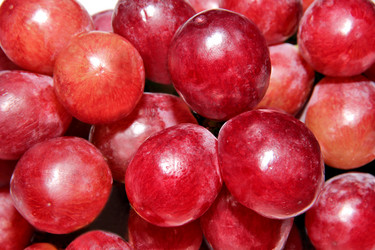 Similar image 1048693