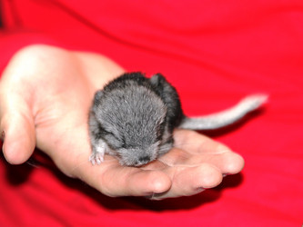 Similar image 1048778