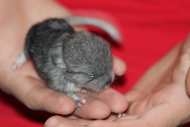 Similar image 1048787