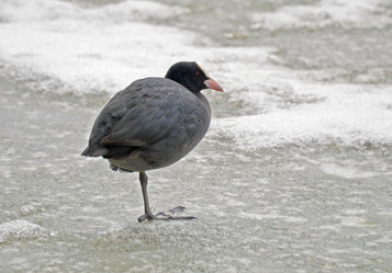 Similar image 1048927