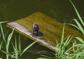 Similar image 1048944