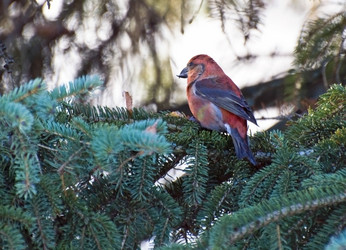 Similar image 1048969