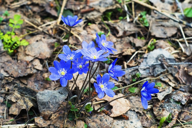 Similar image 1048991