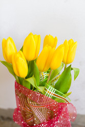 Similar image 1049079