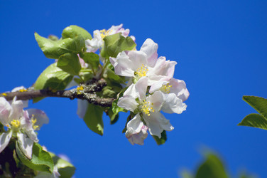 Similar image 1049101