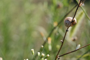 Similar image 1049345