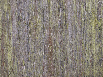 Similar image 1049484