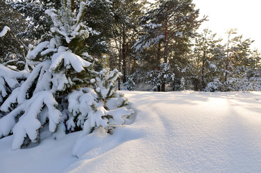 Similar image 1049530