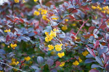 Similar image 1049553