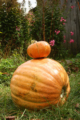 Similar image 1049870