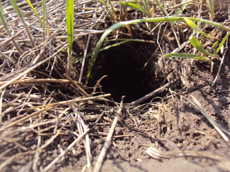 Similar image 1050088