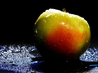 Similar image 1050273