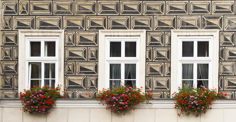 Similar image 1050603