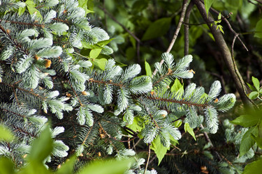 Similar image 1050830