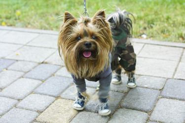 Similar image 1051066