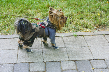 Similar image 1051068