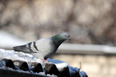 Similar image 1051266