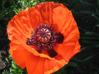 Similar image 1051430