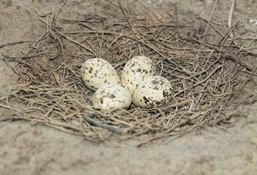 Similar image 1051676