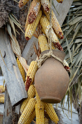 Similar image 1051826