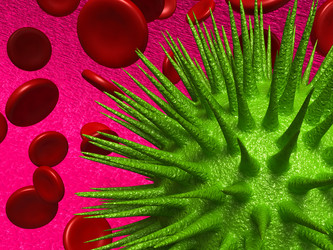 Similar image 1051831