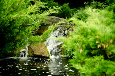 Similar image 1051925