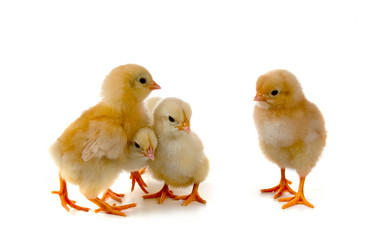 Similar image 1052088