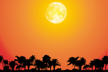 Similar image 1052098