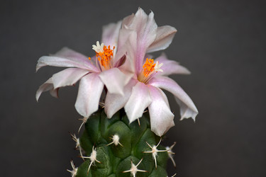 Similar image 1052228